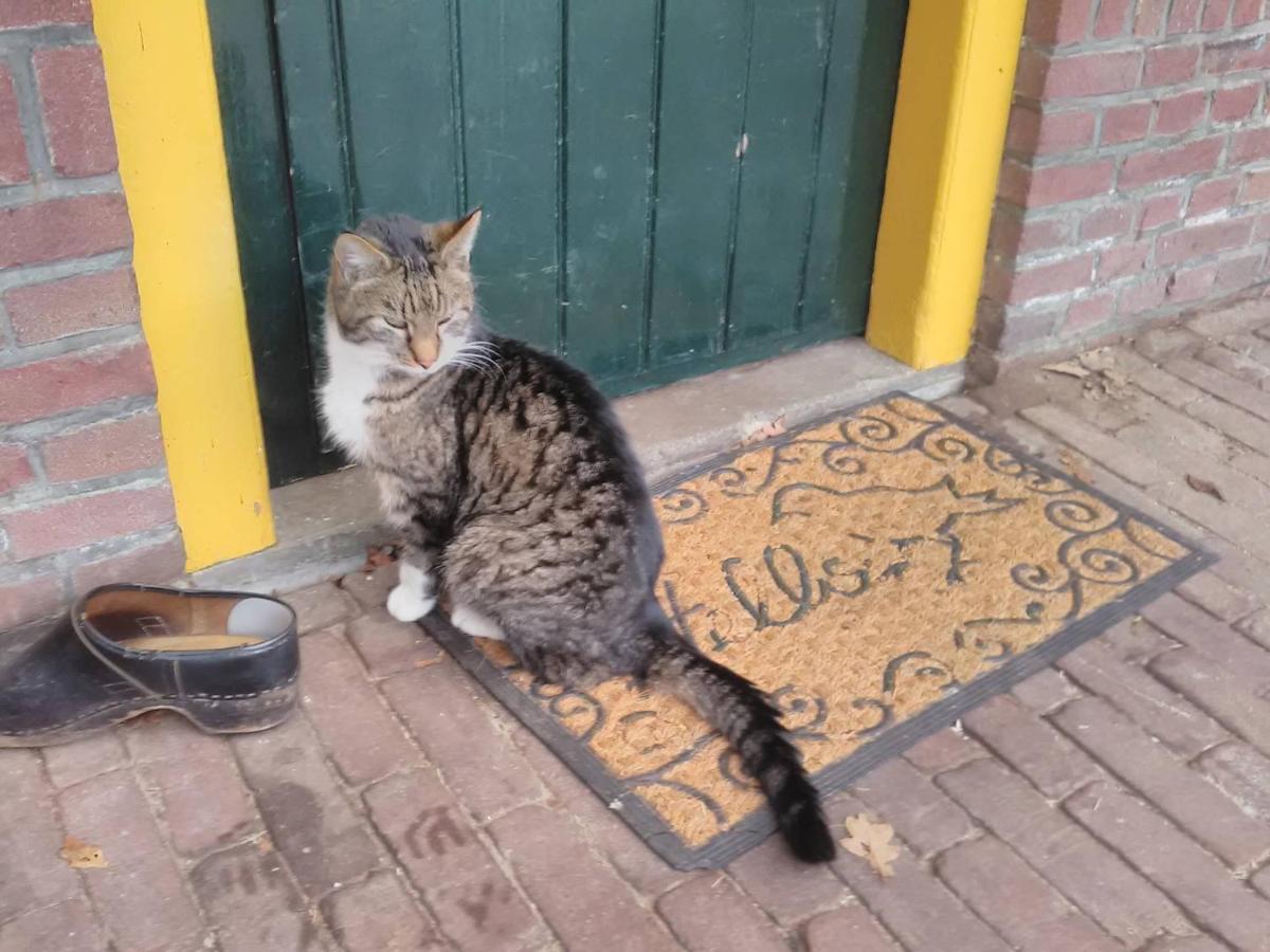 Appartement Hoeve Polsdonk Oirschot Exterior foto